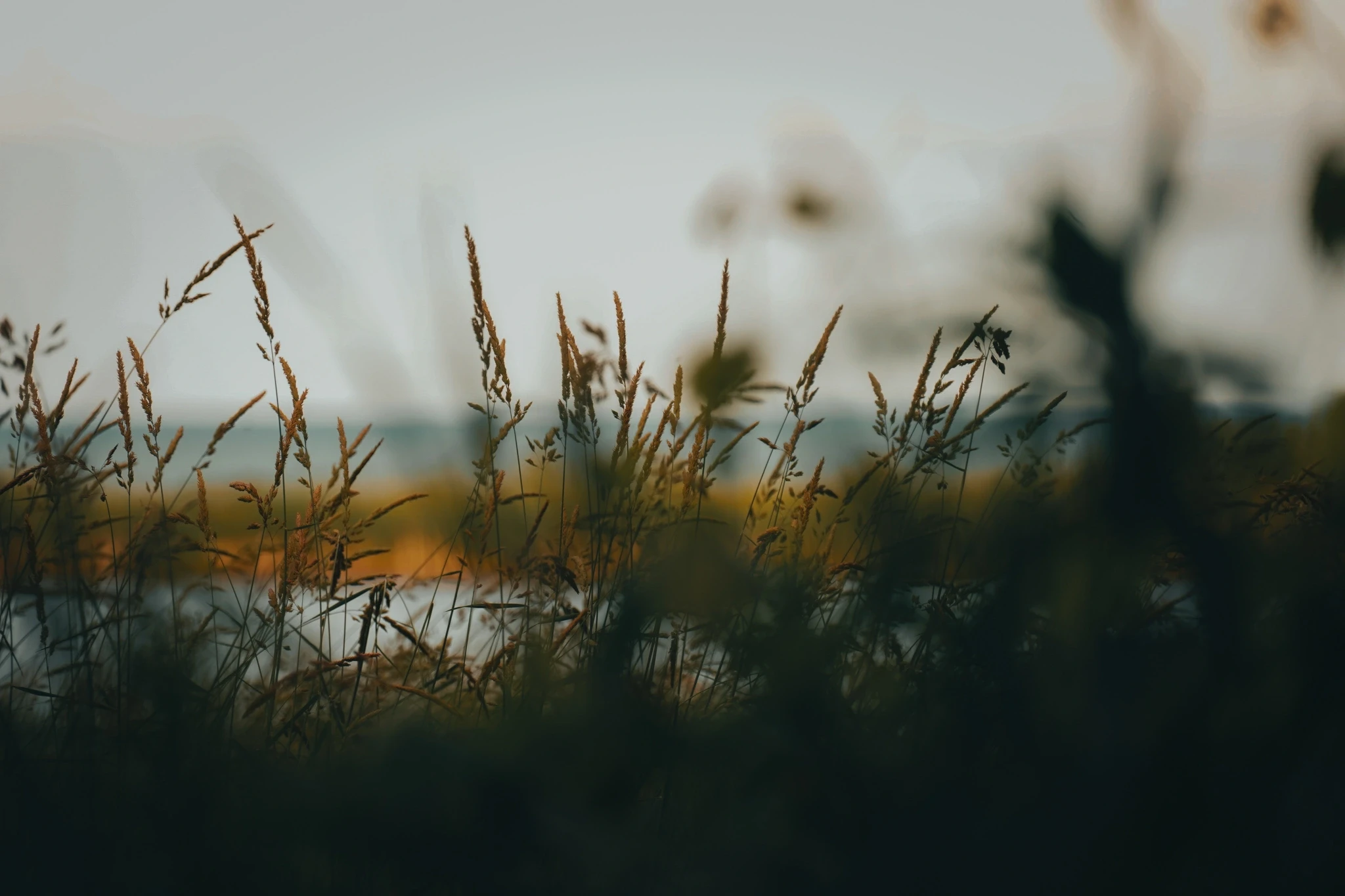 Landscape Photography